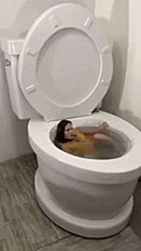 Funny Person Spinning In Toilet Bowl GIF