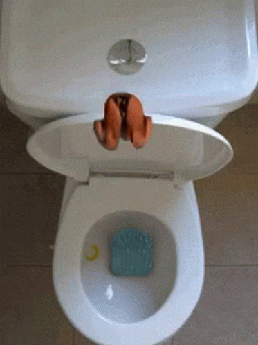 High Diving On The Toilet Bowl Meme GIF
