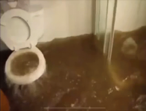 Toilet 498 X 379 Gif GIF