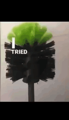 Toilet Brush With Word Tried
