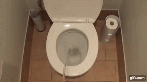 Toilet Next to Paper Towel Dispenser