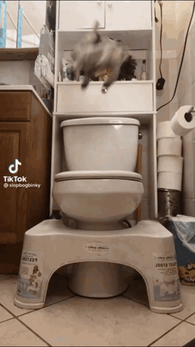 Toilet on Stool in Bathroom