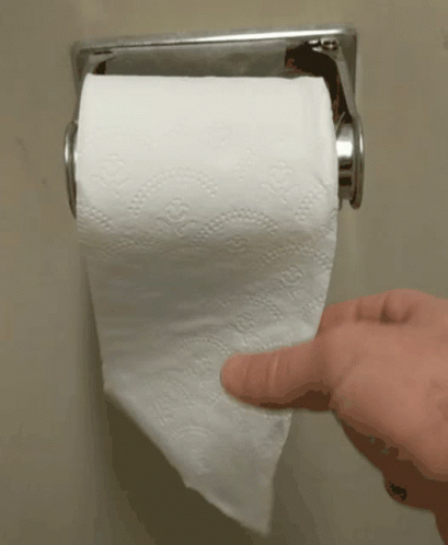 Toilet Paper Dio's Opinions GIF