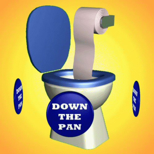 Toilet With Blue Button Saying Down The Pan