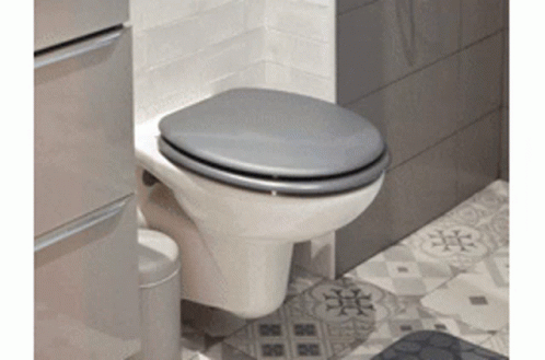 Toilet with Grey Seat in Bathroom