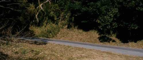 Tokyo Drift Zig Zag Road Car Race GIF