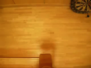 Tokyo Drift Cat Running GIF