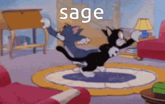 Tom and Jerry Dancing With Sage