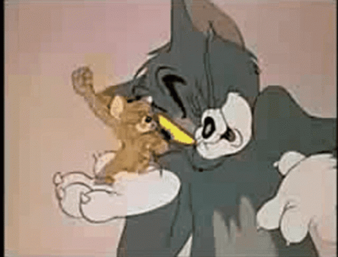Tom And Jerry Fighting Attack GIF 