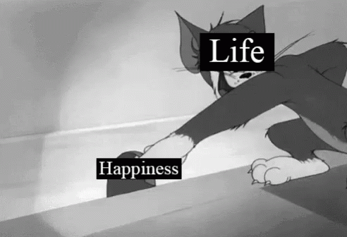 Tom And Jerry Fml GIF