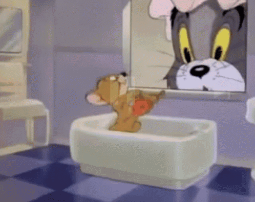 Tom and Jerry Looking at Reflection