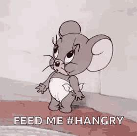 Tom And Jerry Nibbles Gif GIF