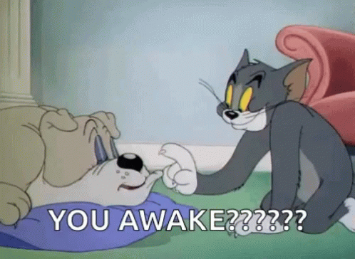 Tom and Jerry Sitting Next to Dog on Pillow
