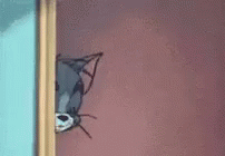 Tom Cat Eyes Springs Out Boing GIF