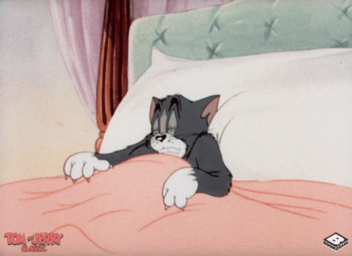 Tom Cat Just Go To Bed GIF