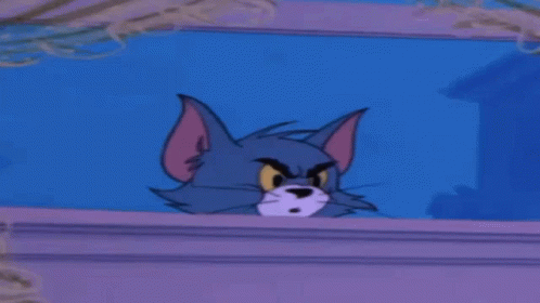 Tom Cat Peeking Through Window GIF