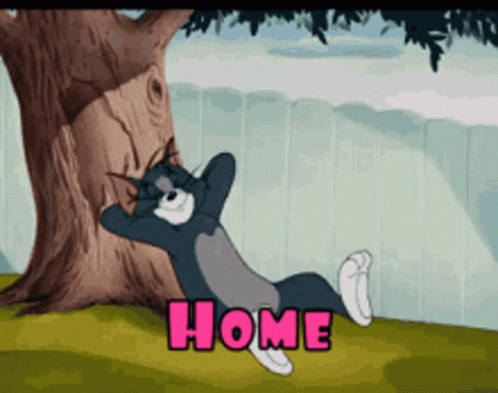 Tom Cat Resting And Relaxing At Home GIF