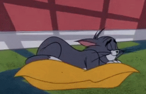 Tom Cat Sleeping On Big Pillow GIF