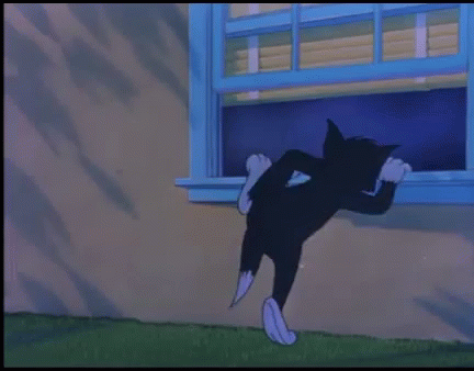 Tom Cat Sneaking In Through Window GIF