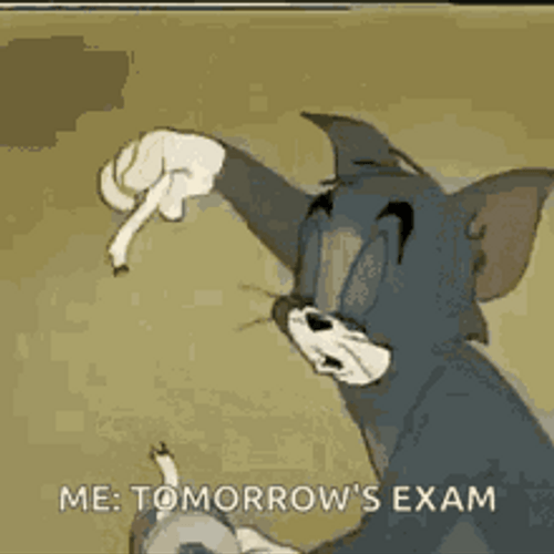 Tom For Tomorrow's Exam Meme GIF