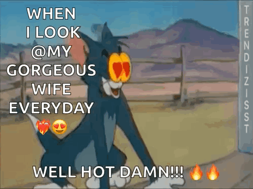 Tom From Tom And Jerry Says When I Look @ My Gorgeous Wife Everyday Well Hot Damn GIF