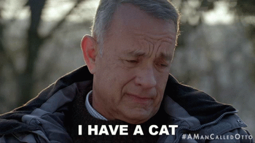 Tom Hanks Otto I Have A Cat GIF