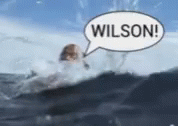Tom Hanks Saving Wilson The Ball GIF