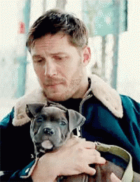 Tom Hardy Puppy GIF