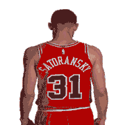 Tomas Satoransky Pose Sticker GIF