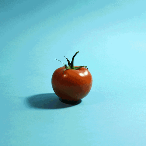 Tomato As Pin Cushion GIF
