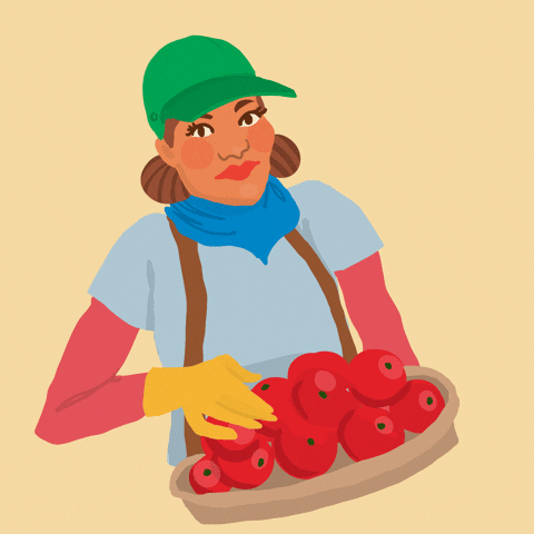 Tomato Lady Farming Harvest GIF