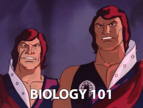 Tomax And Xamot Biology 101 GIF