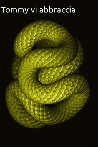 Tommy Vi Abbraccia Yellow Snake Poster GIF