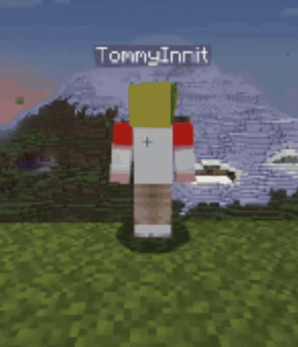 Tommyinnit Roblox Character Vanishing GIF