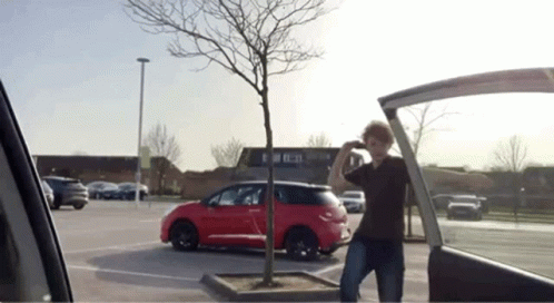 Tommyinnit Throwing Thing Inside Car GIF