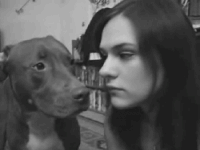 Tongue Battle Cute Dog GIF