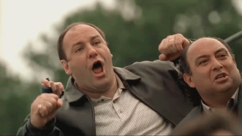 Tony Soprano 498 X 280 Gif GIF