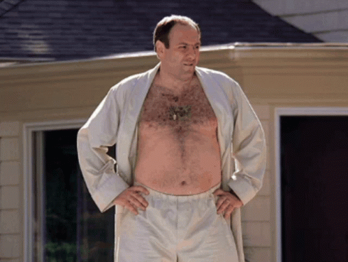 Tony Soprano In Robe GIF