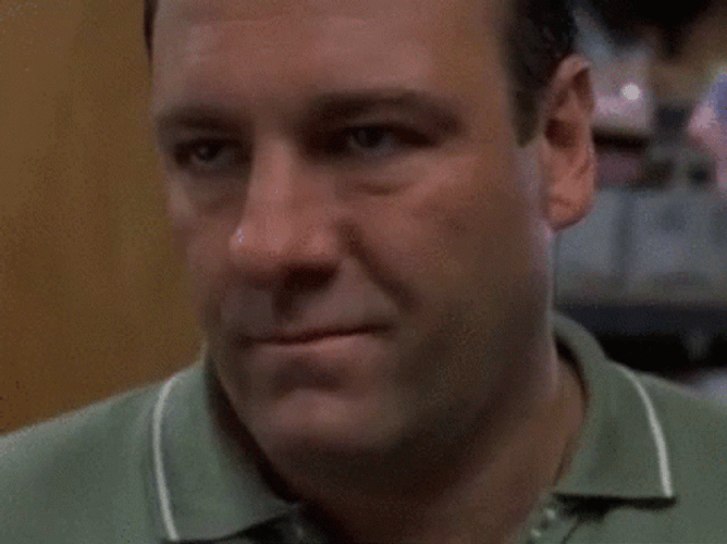 Tony Soprano Head Shake GIF