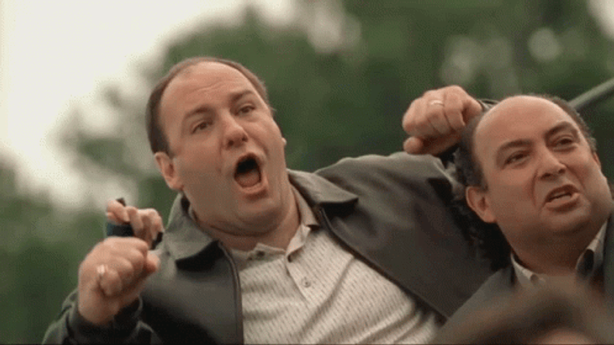 Tony Soprano GIF
