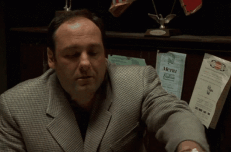 Tony Soprano Money GIF