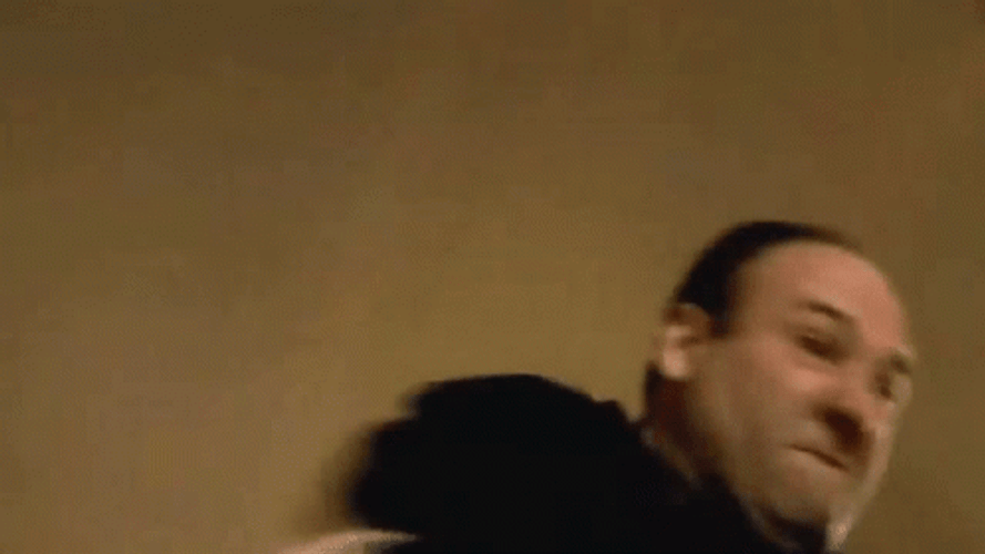 Tony Soprano Punching GIF