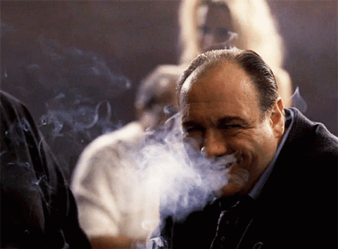 Tony Soprano Smiling GIF