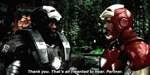 Tony Stark And His Partner GIF