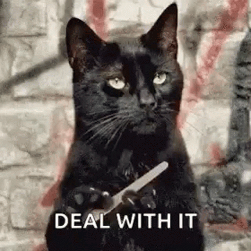 Too Bad Deal With It Cat GIF