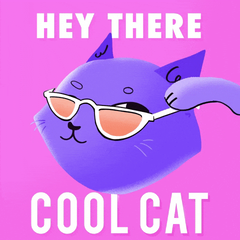 Too Cool Animated Cat Winks GIF
