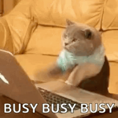 Too Much Work Frantic Kitty Typing Job GIF