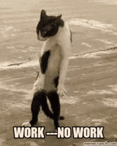 Too Much Work Funny Cat Standing Upright GIF