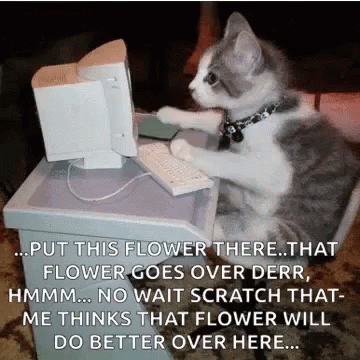 Too Much Work Workaholic Kitten GIF