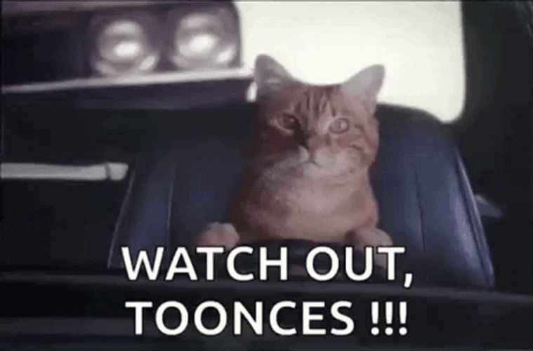 Toonces The Driving Cat GIF